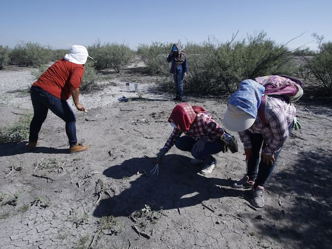Del campo de exterminio de Patrocinio hemos sacado una tonelada de restos humanos: Silvia Ortiz