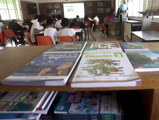 Hay preocupación por los nuevos Libros de Texto: Alma Maldonado