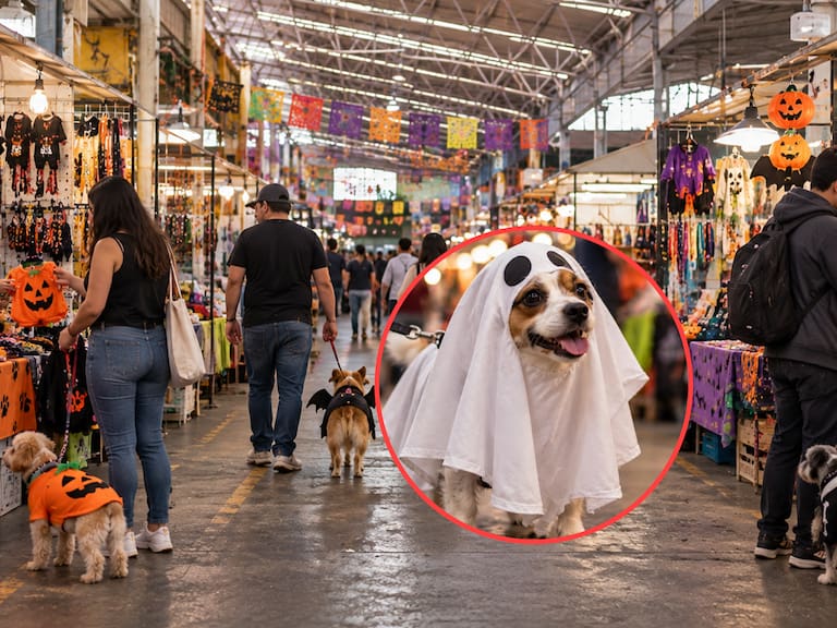 Mx - ¿Dónde comprar disfraces para mascotas en CDMX?