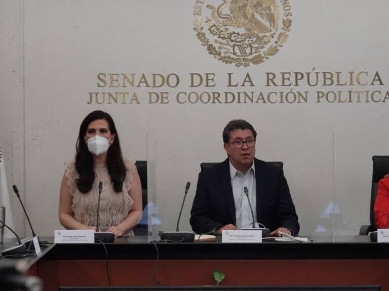 Que valore su permanencia en la CNDH, piden senadores a Rosario Piedra