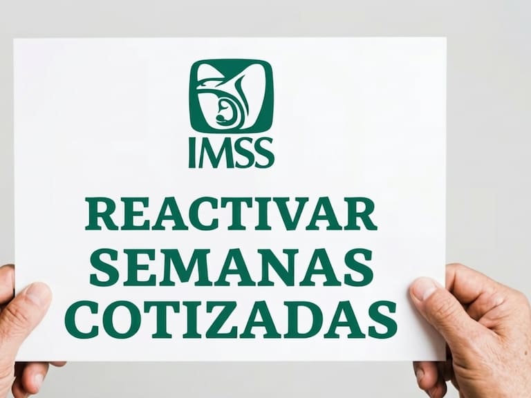Las semanas cotizadas del IMSS no se pierden al dejar de trabajar formalmente, pero en algunos casos es necesario reunir nuevas cotizaciones para que vuelvan a contar.