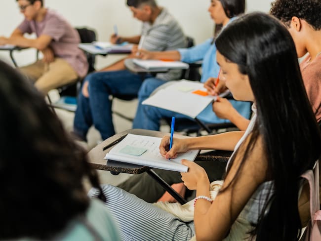 Universidad Rosario Castellanos: Registro, Inscripción y Carreras en México