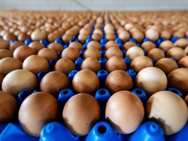 #AsíSopitas: Grave crisis de huevos contaminados afecta ya a siete países europeos