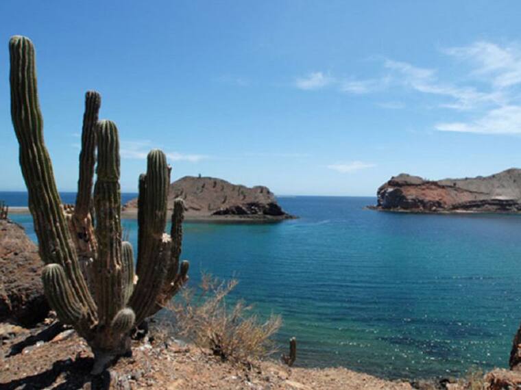 Baja California crece a demanda del turismo: Mario Escobedo