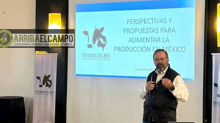 Sector lechero mexicano tiene alto potencial, pero requiere cambios estructurales