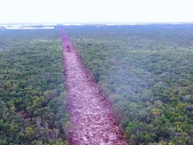 Estrategias jurídicas para frenar el avance de la construcción del tramo 5 del Tren Maya