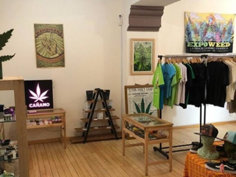 Kaeri Tedla nos habla sobre el nuevo Museo de la marihuana en la CDMX