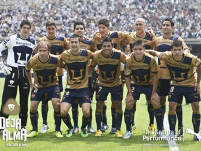 ¿Qué pasa con Los Pumas?. Francisco Javier González, comentarista deportivo