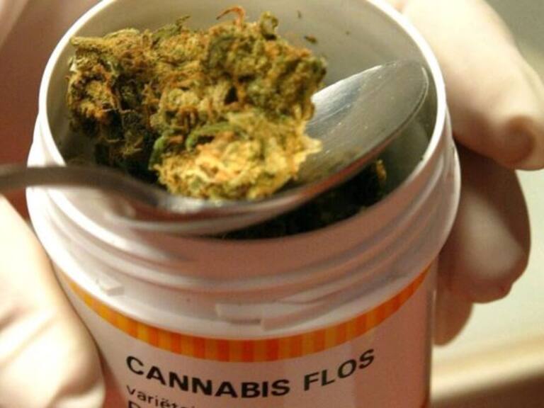 Realizarán foro de Cannabis Medicinal