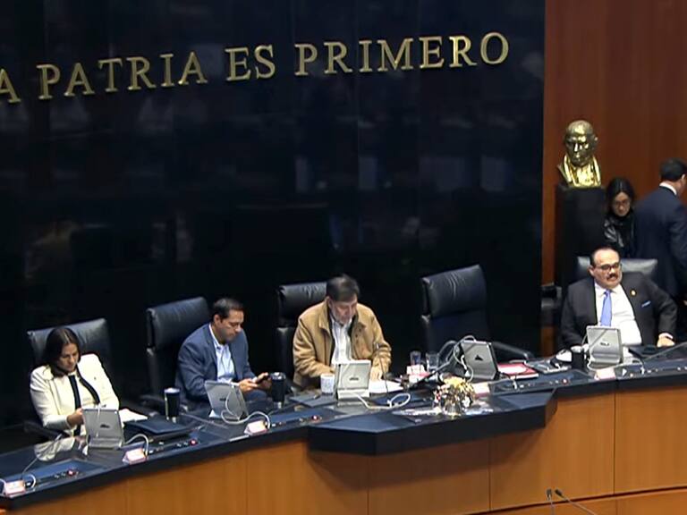 Legisladores de Morena y sus aliados rechazaron que cambios a la Ley violen el T-MEC.