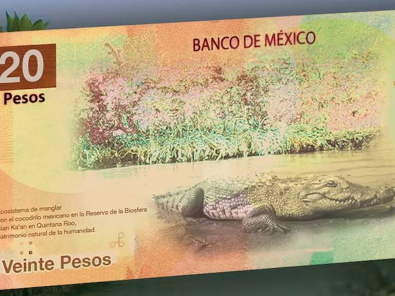 Adiós Juárez y Morelos; así serían los nuevos billetes de 20 y 50 pesos