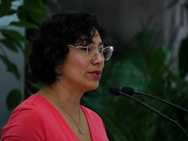 Elección de jueces será diferente a la de legisladores y del Ejecutivo: Rita Bell