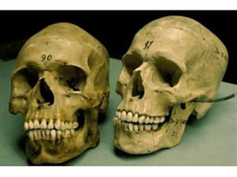 Descubren cráneos con 500 años de antigüedad en Templo Mayor de México