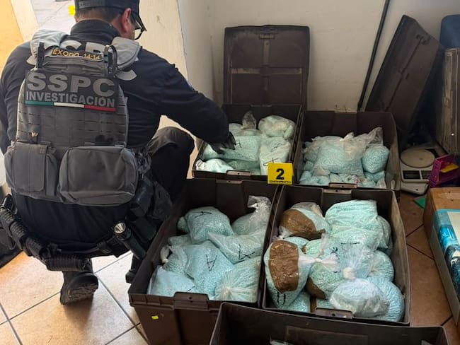 Golpe al fentanilo en México: decomisan 120 kilos de pastillas ligadas a Los Rusos