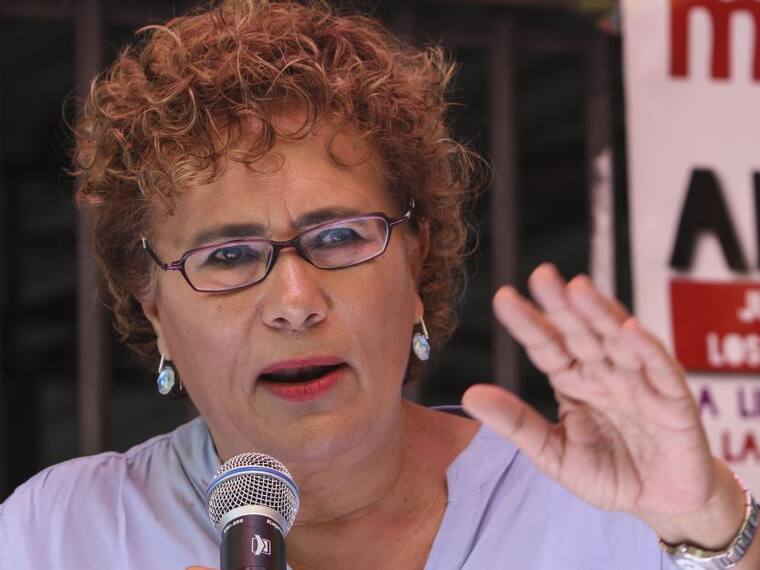 Bertha Luján Uranga: &quot;Somos un partido movimiento&quot;