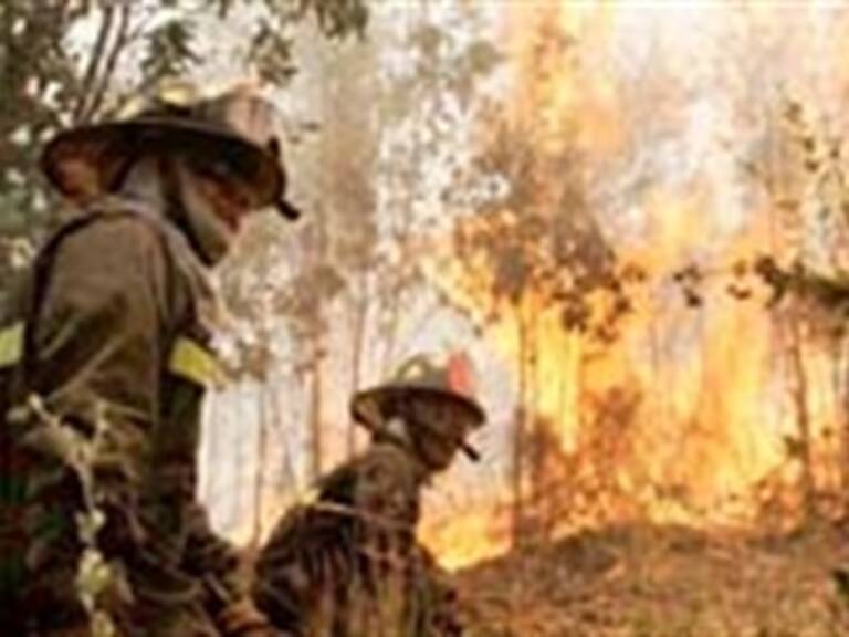 Persisten incendios forestales en Chile