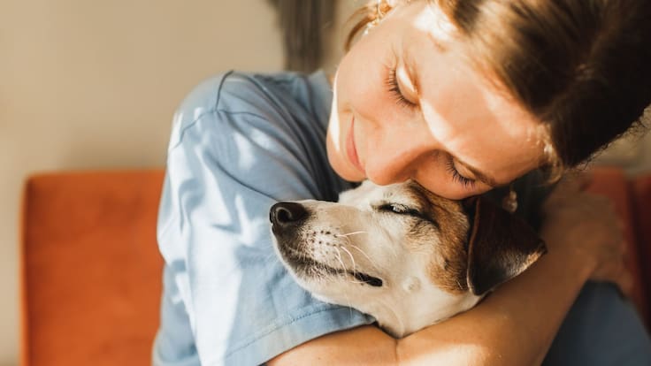 Maltrato animal en Edomex: Aprueban Ley de Protección, Cuidado y Bienestar Animal y las multas suben hasta los 35,000 pesos