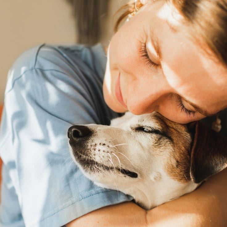 Maltrato animal en Edomex: Aprueban Ley de Protección, Cuidado y Bienestar Animal y las multas suben hasta los 35,000 pesos