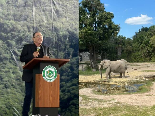 Zoológicos de México piden incluir a expertos en reformas sobre bienestar animal