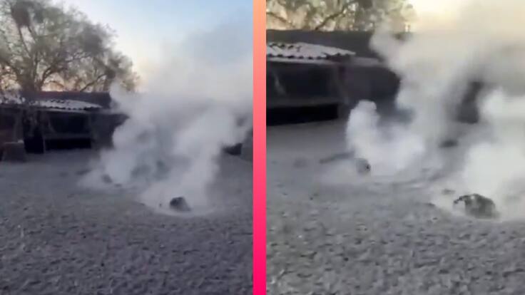 Géiser en Michoacán sorprende a habitantes tras aparecer dentro de una casa; ¿Cómo se forma este fenómeno?