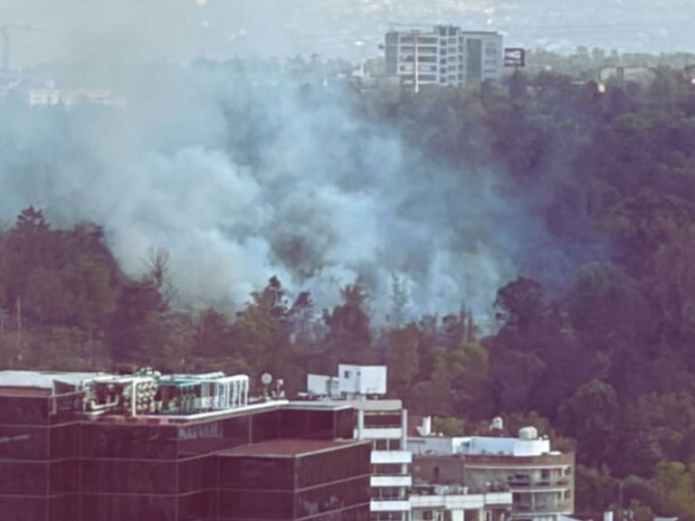 Usuarios en redes sociales reportaron un incendio en el Bosque de Chapultepec. X@paupalmen