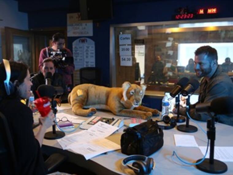 ¿Cómo le hace un domador de animales salvajes?