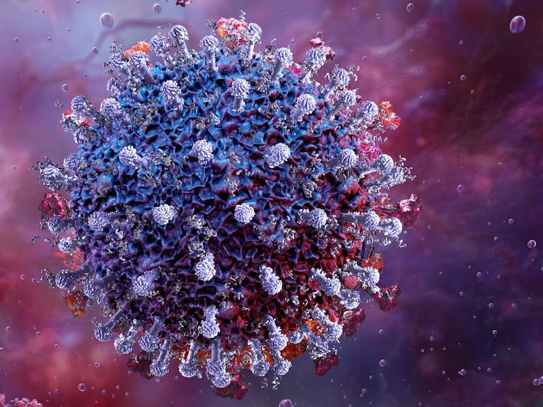 Cigarra, la nueva variante de COVID tiene una gran capacidad de mutación.