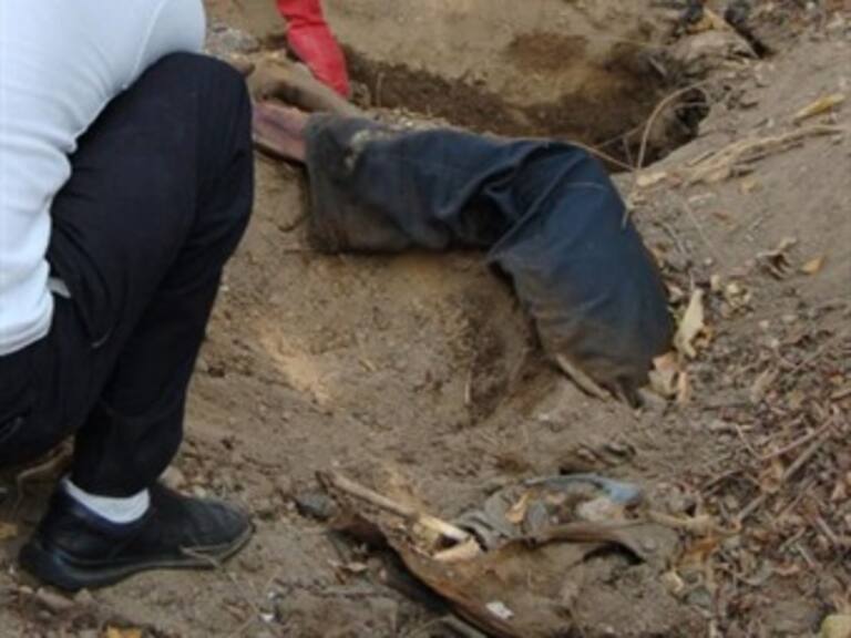 Encuentran 12 cuerpos sepultados en fosas clandestinas en Taxco Guerrero