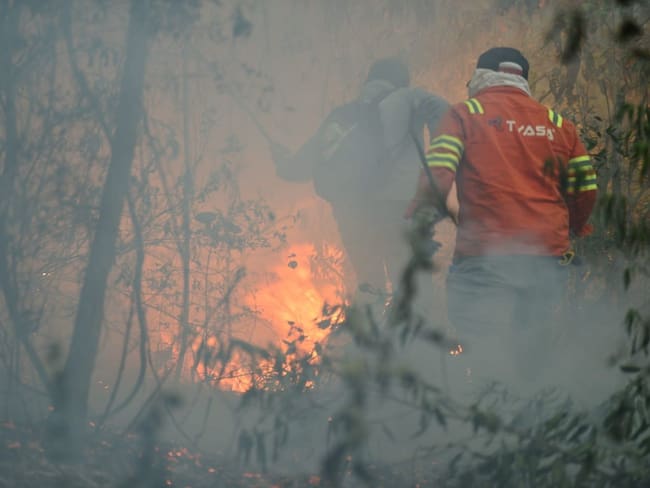 Se registran en el país 116 incendios forestales: AMLO