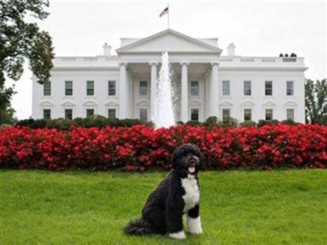 Bob y su segundo mandato. 'La Reata' del martes 22 de enero