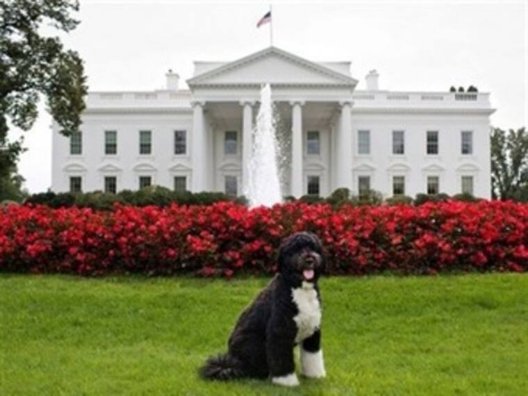 Bob y su segundo mandato. 'La Reata' del martes 22 de enero