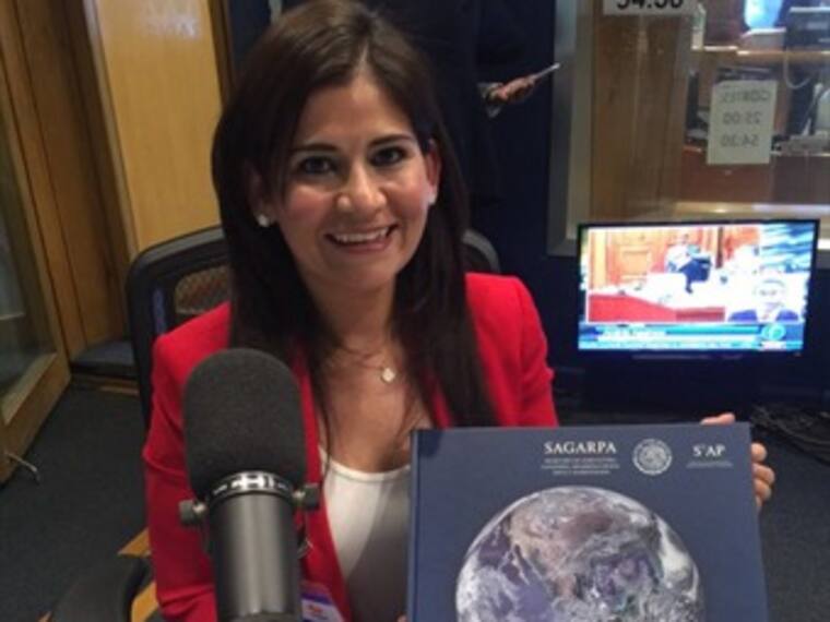 ¿Qué carencias sufre el campo mexicano?