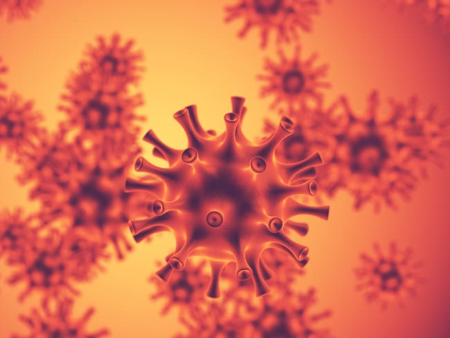 SSa: No hay casos de la variante K del virus de la Influenza A H3N2 en México