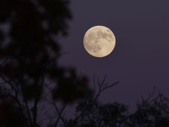Última Luna Llena 2024: Cuándo y a qué hora ver la Luna Fría en México