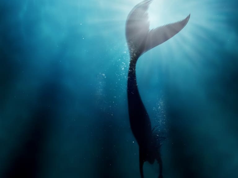 Sirena | imagen ilustrativa 