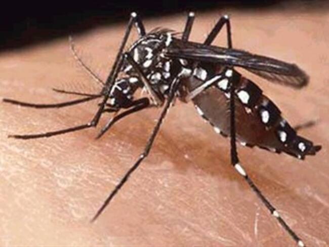 Emiten nueva alerta por dengue en El Salvador tras 5 muertes y 10.000 casos