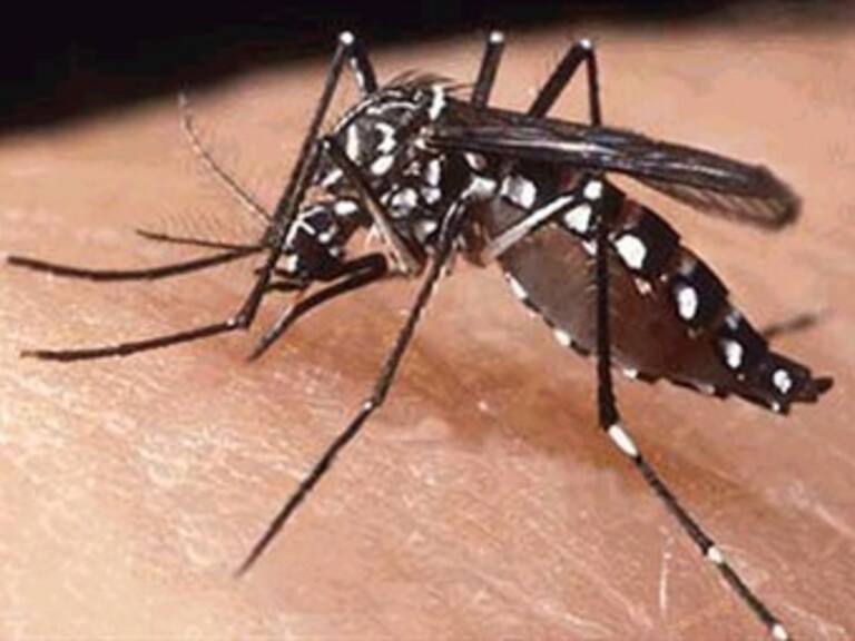 Emiten nueva alerta por dengue en El Salvador tras 5 muertes y 10.000 casos