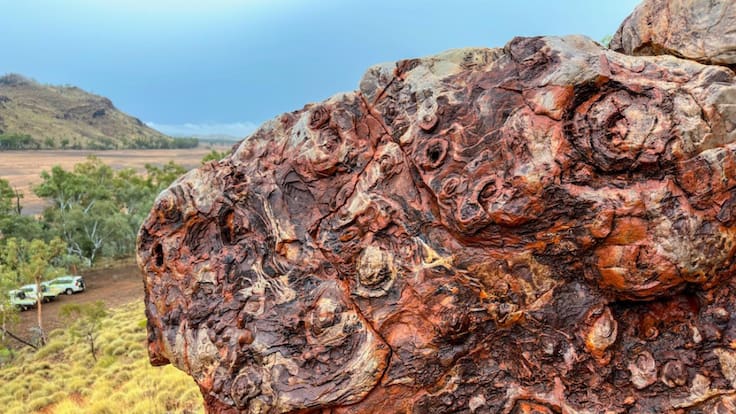 NASA: Hallan fósiles en Australia que revelarían posible vida en Marte