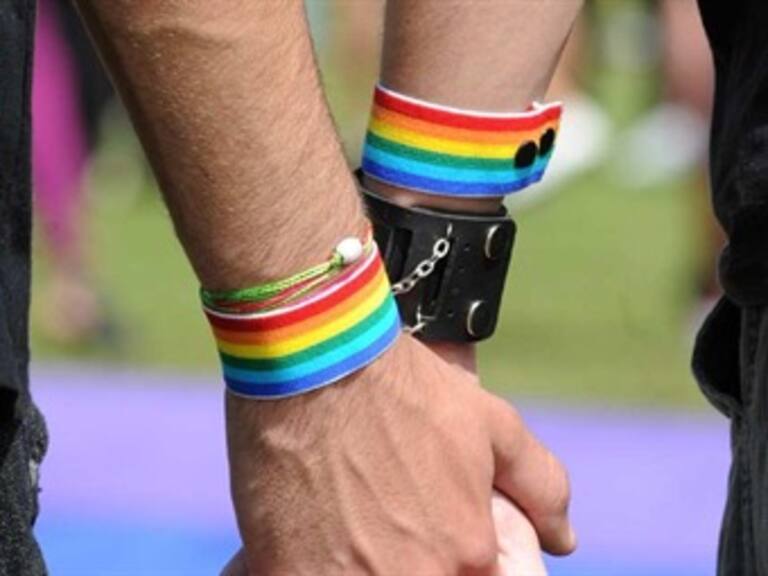 Ocho años después se celebra el ‘Día Nacional de la Lucha contra la Homofobia’