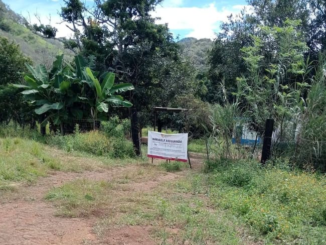 Restos óseos y prendas: Esto hallaron en el predio “El Dragón” en Nayarit