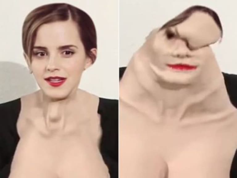Entérate como surgió el GIF de Emma Watson y Sofía Vergara