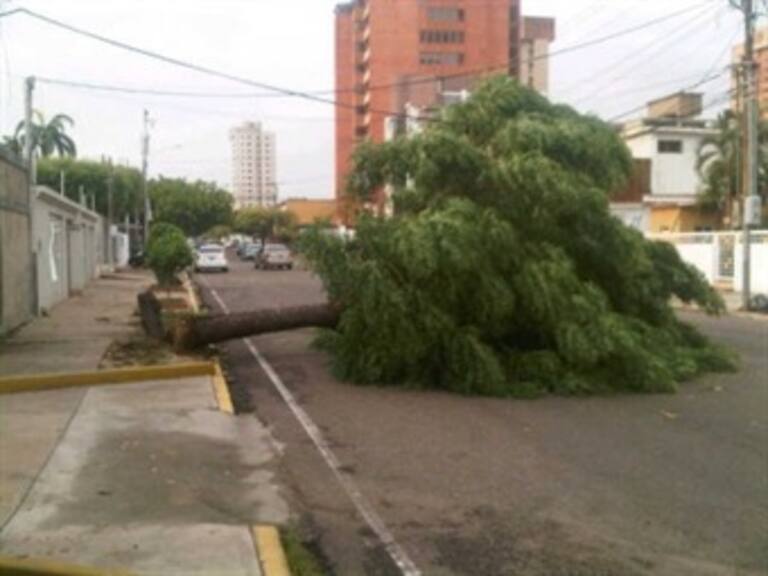 En riesgo varias ciudades uruguayas por ráfagas de viento
