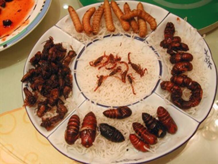 Insectos comestibles en México 'Planea tu día' con Alberto González