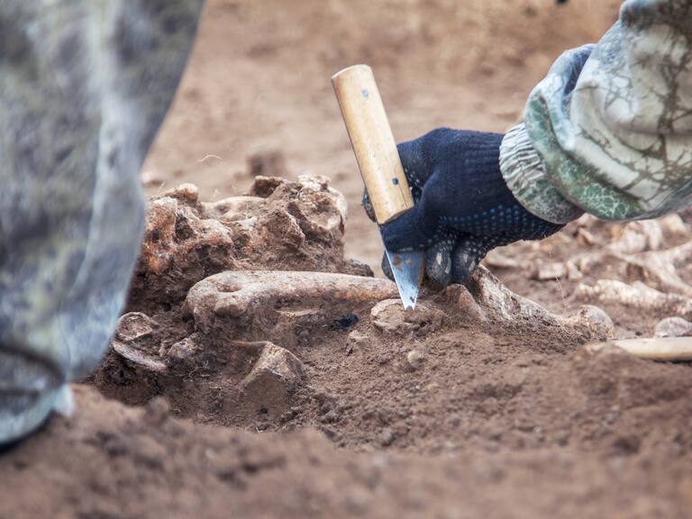Descubren en Etiopía nueva especie de australopithecus que coexistió con los primeros humanos.