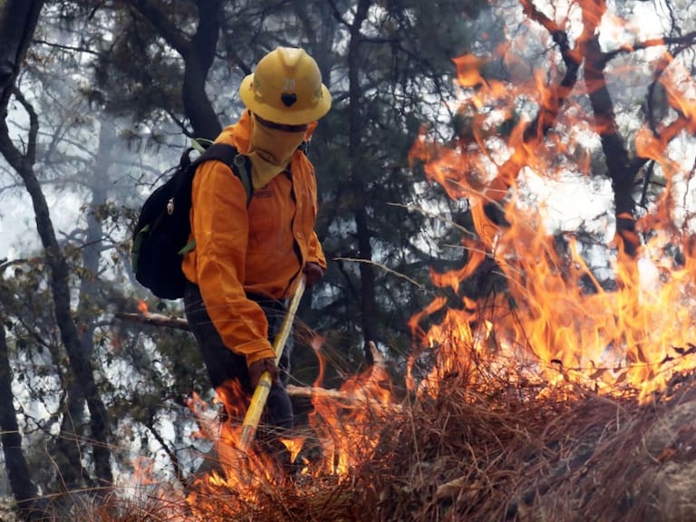 Se registran 61 incendios forestales en 16 entidades del país: Conafor