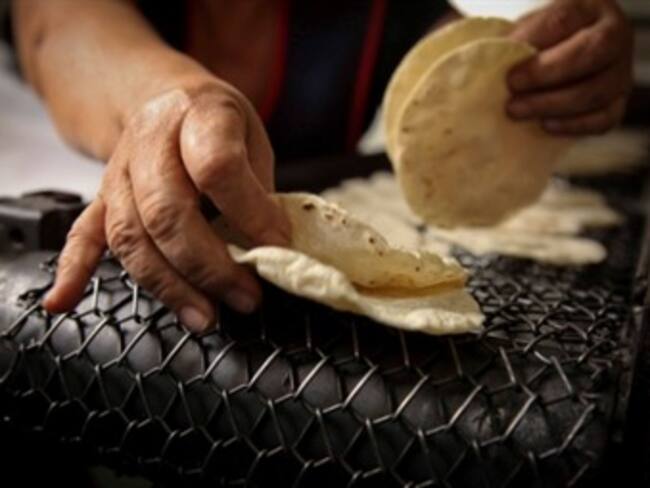 Profeco está contra la especulación por el precio de tortilla