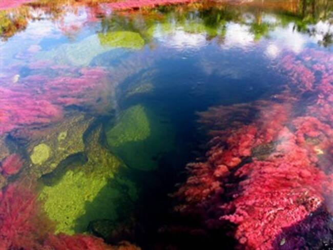 Rio caño cristales.'Pasaporte W' con Michelle Fridman