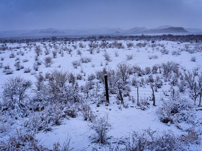 Durango reporta caída de nieve en 8 municipios