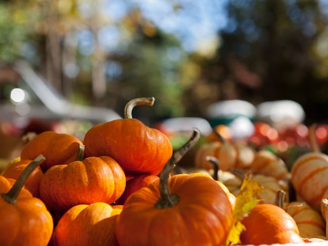 Pumpkin Zone 2026: cuándo y dónde será el festival de Halloween en Puebla