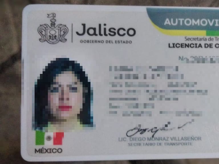 Diputada morenista propone licencias permanentes para conducir